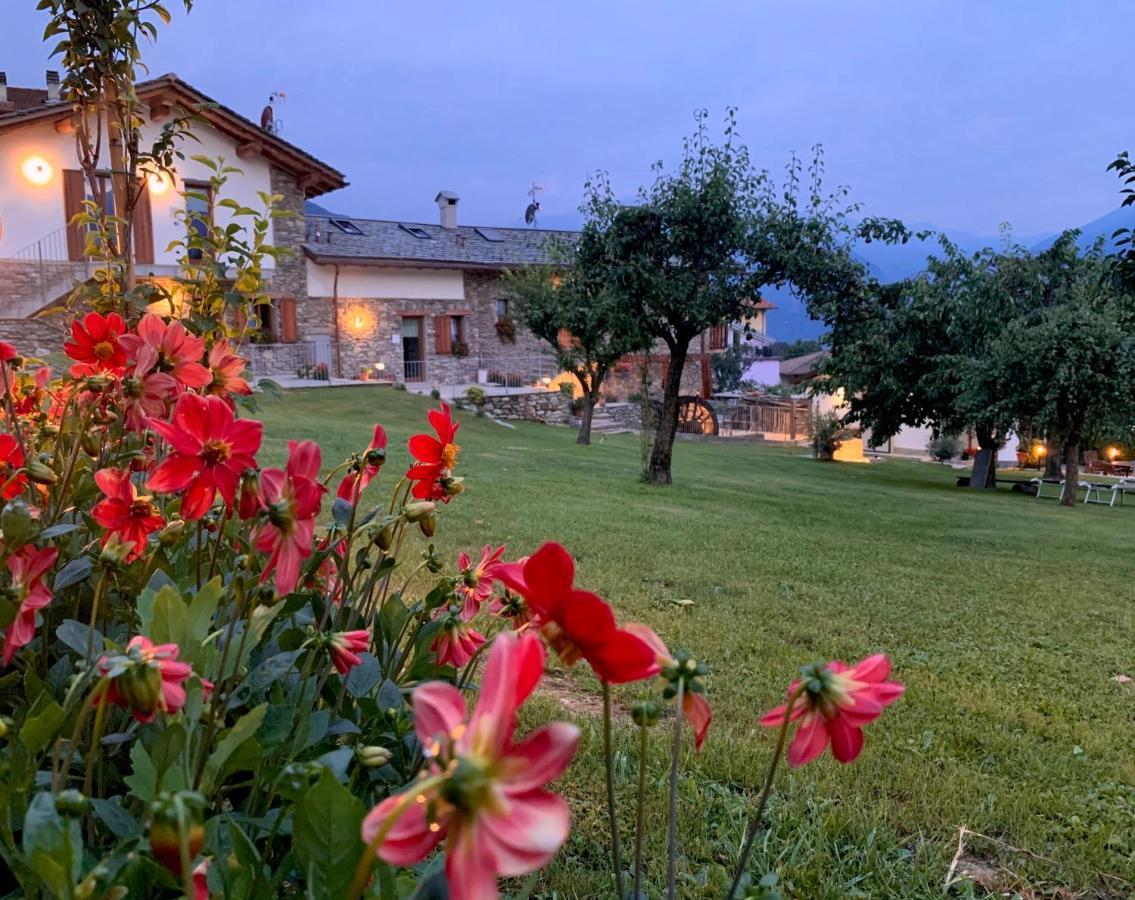 Il Fienile - Lake Como Heritage Home In Molino Maufet Watermill - Lake View Terrace Colico Eksteriør bilde